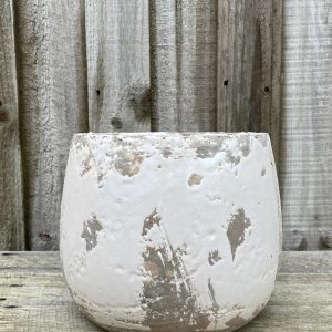 Rustic Beach style cement Pot